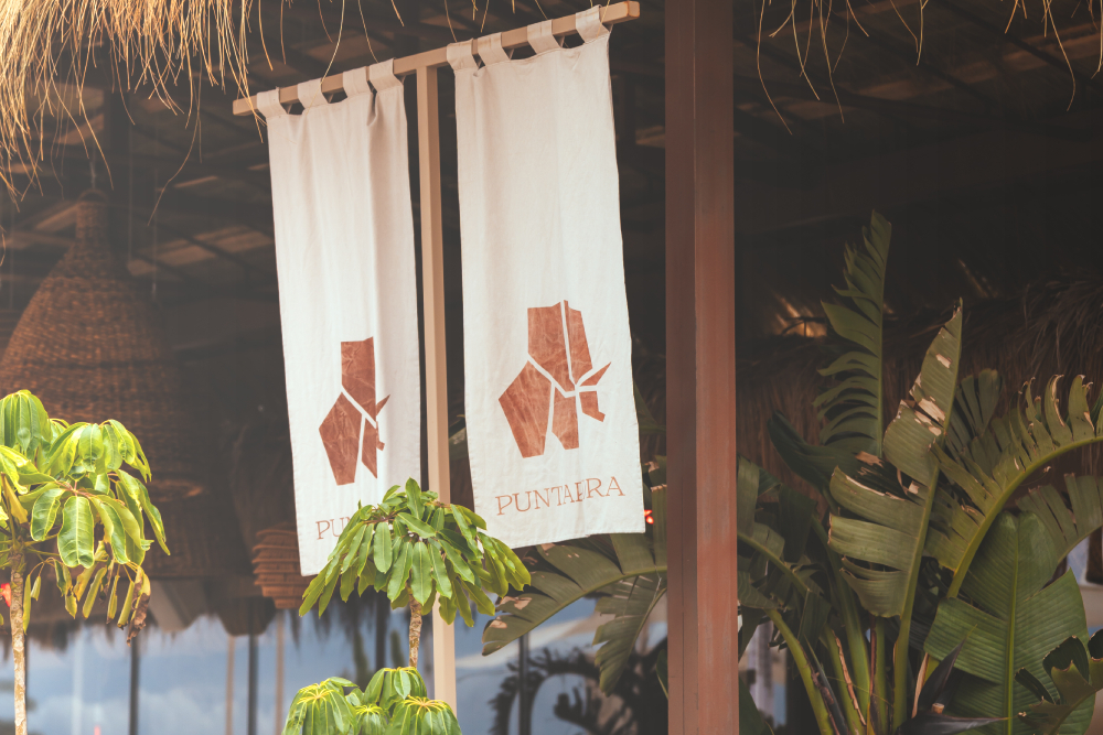 Banderolas Puntapiedra en espacio Palapa